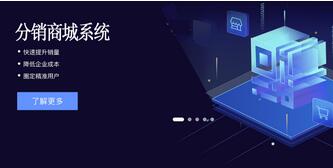 化妆品分销系统开发