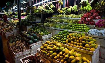 生鲜水果app开发