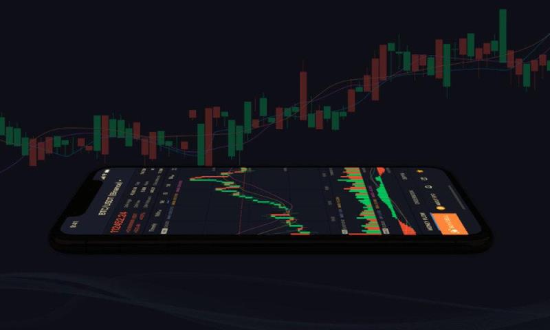 381.jpg